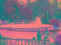 IMGP2827 edited (Medium)